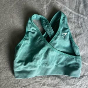 Turquoise gym shark sports bra.